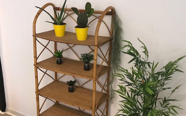 Cactus Apartment
