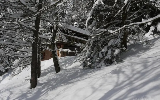 Chalet individuel VOLOGNE 4 chambres