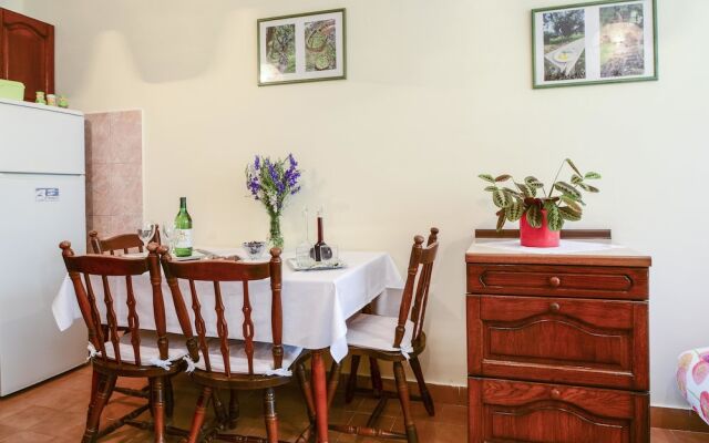 Apartments Jadranka Polinovac One Bedroom A1
