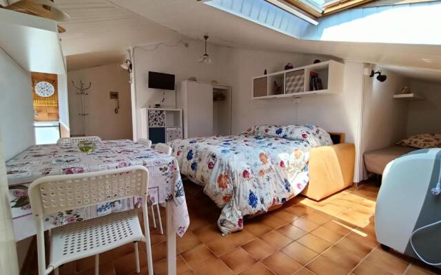 Mansard apart Alba - Sea 5 Terre-trekking-excursions-relax