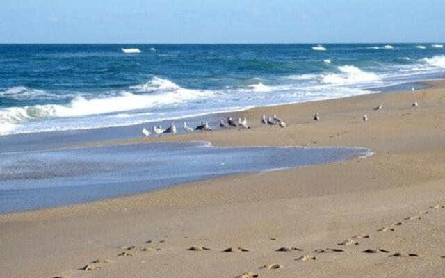 Om Shanti Beach Resort