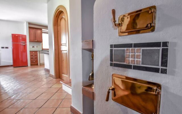 Cesa Galaldriel 29973