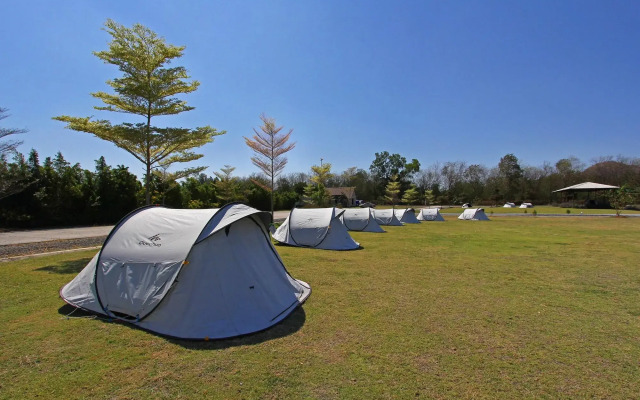 White Knot Khao Yai