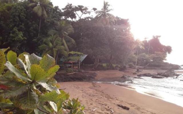 Corcovado Jungle Hostel