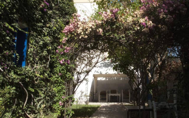 Le vent des Dunes