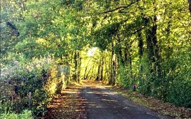 Chambre D'hotes la Cavaille