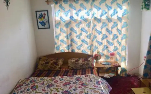 New World Guest House