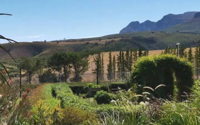 Farm Stay Winelands