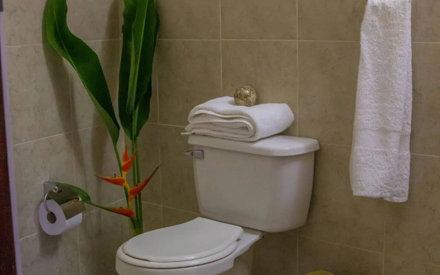 Hotel Amazon Bed & Breakfast