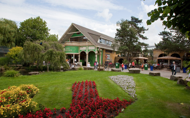 Van Der Valk Avifauna