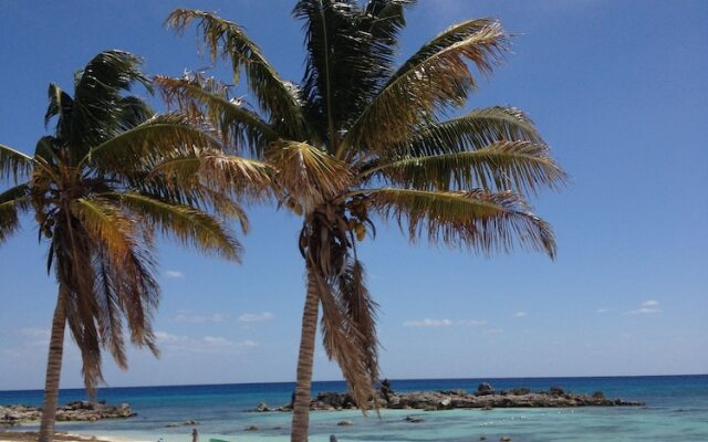 Furnished Apartments in Cozumel
