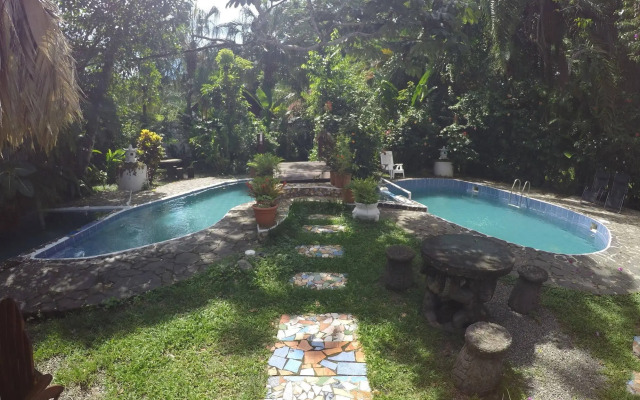 The Lotus Garden