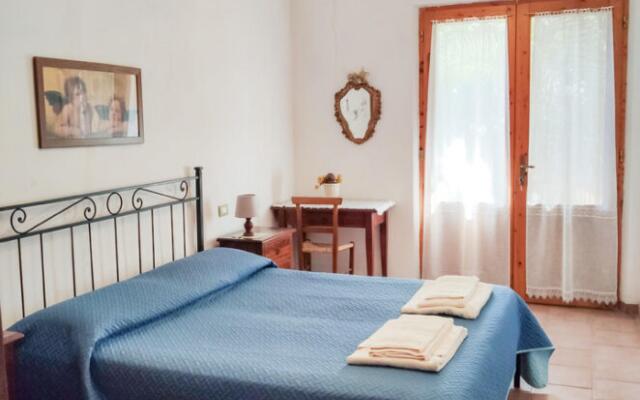 Ulivo in Maltraverso