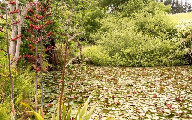 Hunua Homestead Accommodation