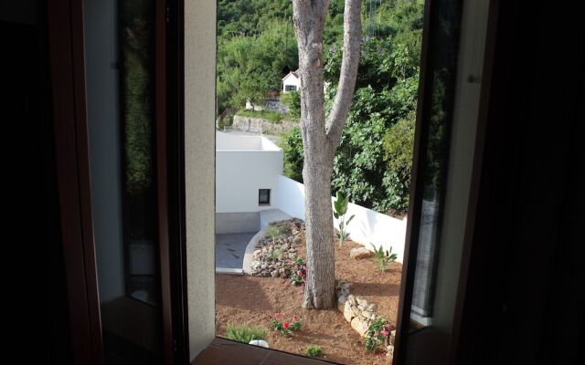 Young Hotels Spain SL