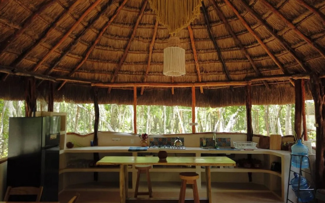Unique Jungle Dome Ha With Kitchen