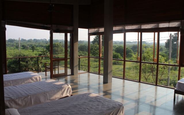 Tree Tops Yala