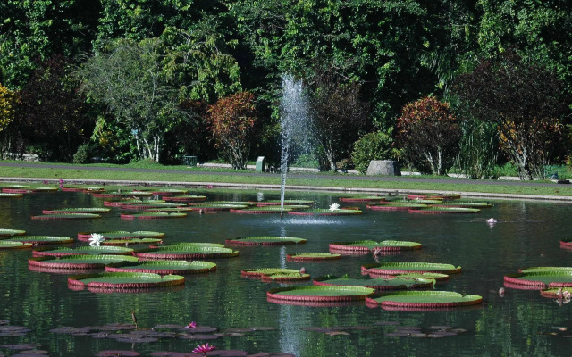 savero Style Bogor