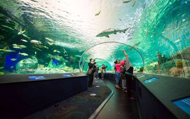 Couples Retreat @downtown With Lakeshore View