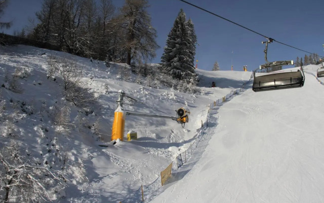 Polana Szymoszkowa Ski Resort - Chamerion Apartments