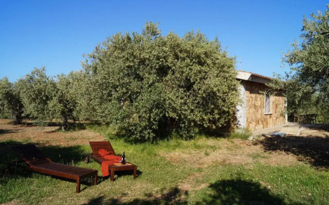 Sa Tanca De Mannoi