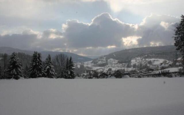 Chalet Le Tholy, 4 pièces, 6 personnes - FR-1-589-217