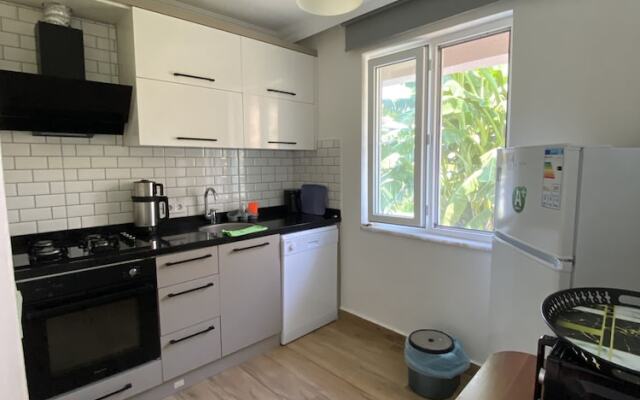 Orange and Lemon Homes