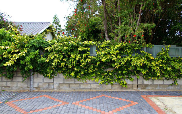 Katinka Self-Catering