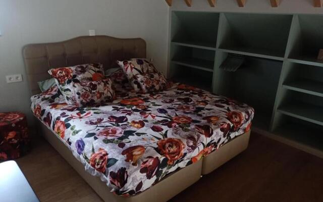 Mademoiselle Nineth met sauna