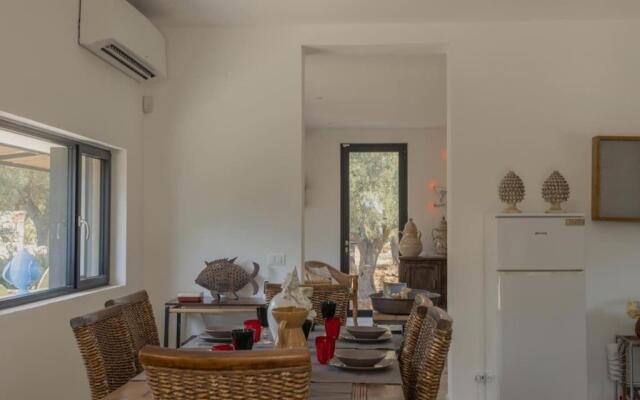 New Villa Aspri with Infinity Pool 1km from the sea