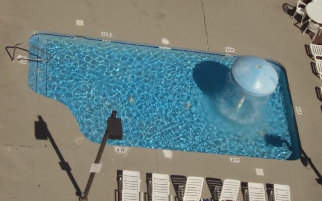 The Reef at South Beach