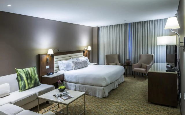 Hotel Chico 97