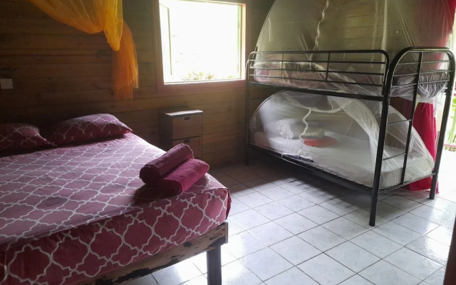 3 Rivers & Rosalie Forest Eco Lodge