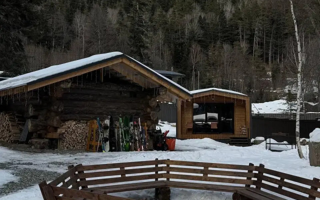 SkyWood