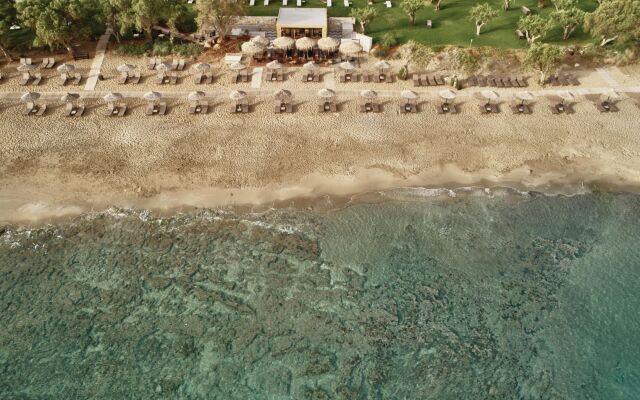 Phāea Cretan Malia, a Member of Design Hotels