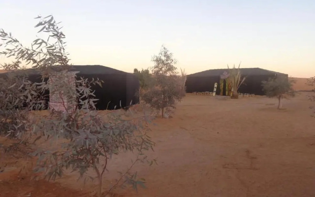 Camel Trek Bivouac in Merzouga