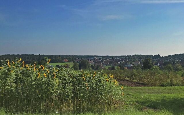 Apartment Marianne in Black Forest for 4 Person