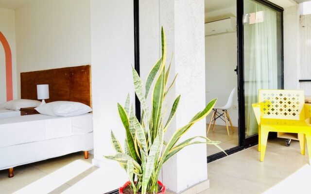 Sacha Mistol Residence _Nueva Cordoba