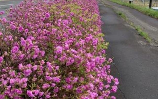 Abashiri - Hotel / Vacation STAY 16178