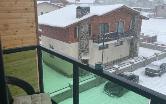 Snow Forest Bakuriani Apartment 17B