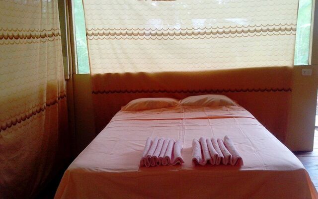 Amazon Eco Tours & Lodge