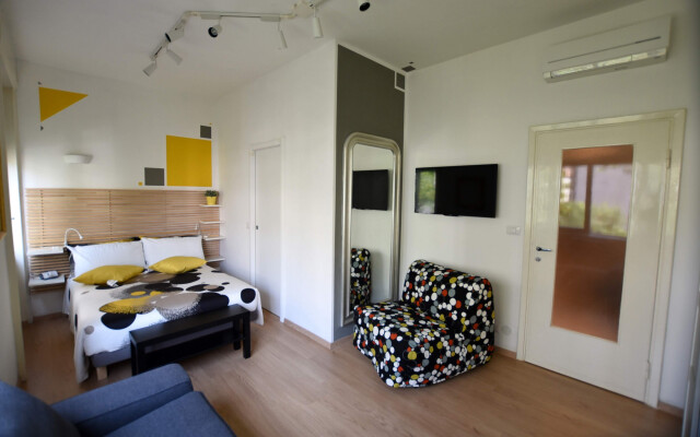 Rondone Giallo - Le Rondinelle