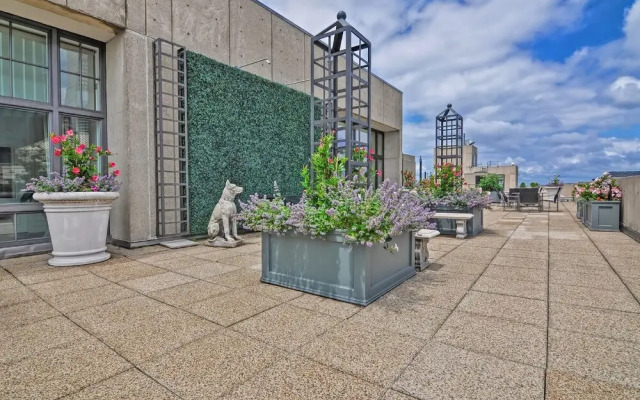 Modern Apartments in Back Bay by Barsala
