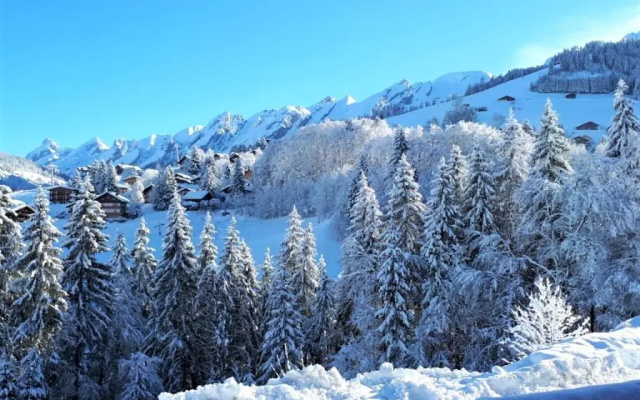 Appartement La Clusaz, 3 pièces, 6 personnes - FR-1-459-49