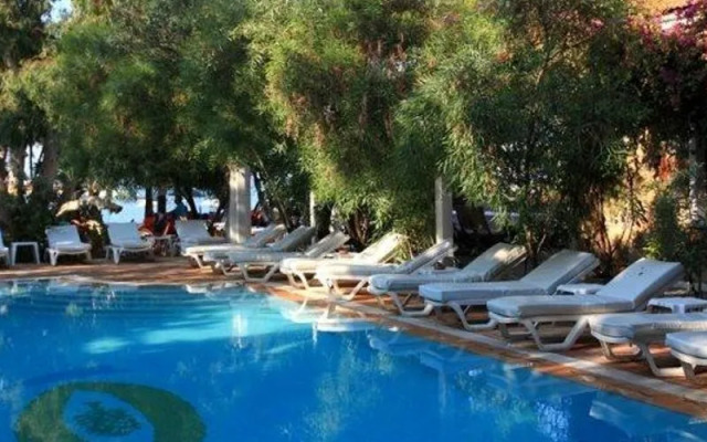 Okaliptus Hotel