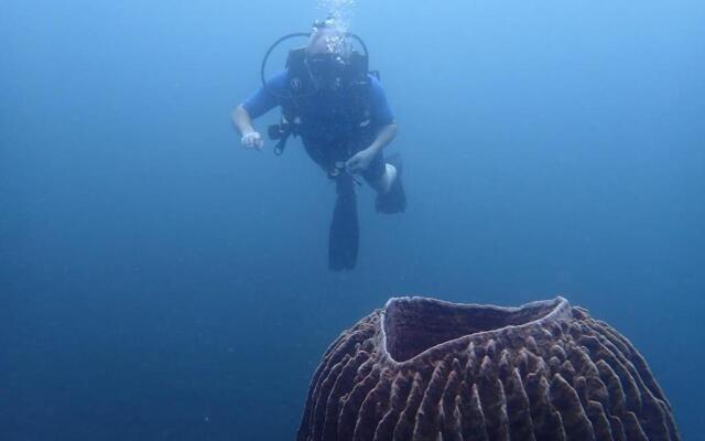 BlueHill Dive Resort Tulamben