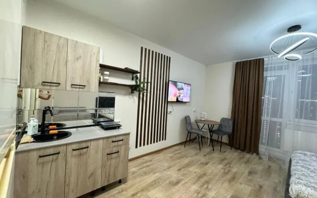 Апартаменты ДеньНочь на ул. Петра Подзолкова д. 24