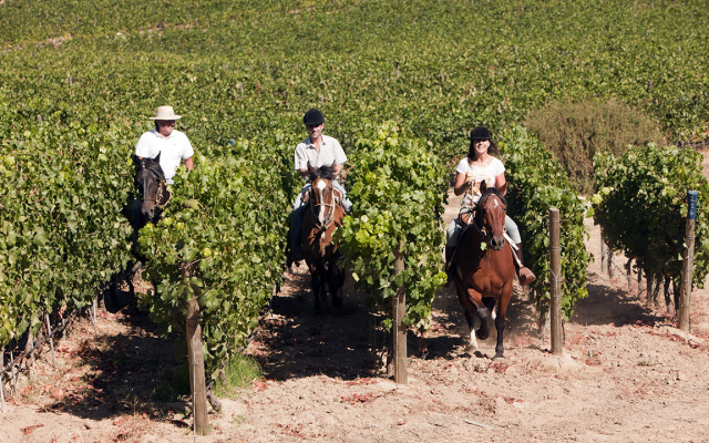 Clos Apalta Residence Relais & Chateaux