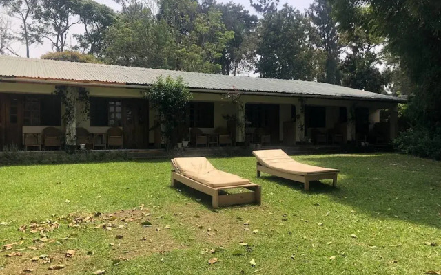 Ruwenzori View Guest House