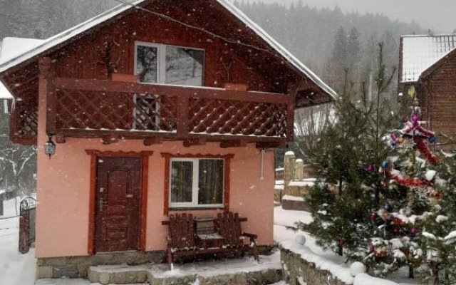 Holiday Home Melodiya Karpat